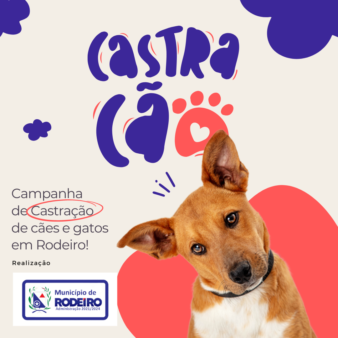 CAMPANHA DE CASTRAÇÃO DE CÃES E GATOS