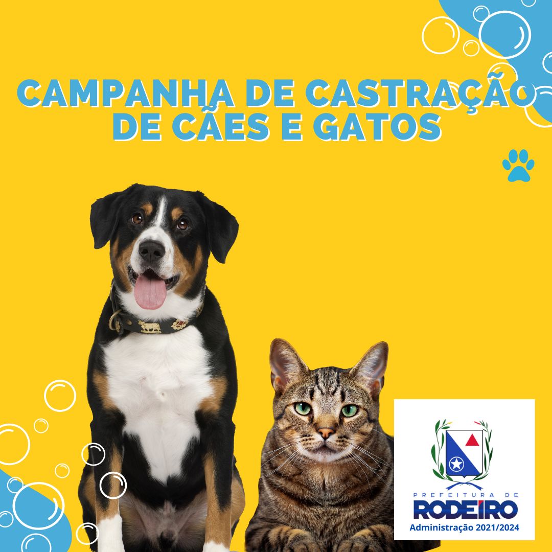 CAMPANHA DE CASTRAÇÃO DE CÃES E GATOS