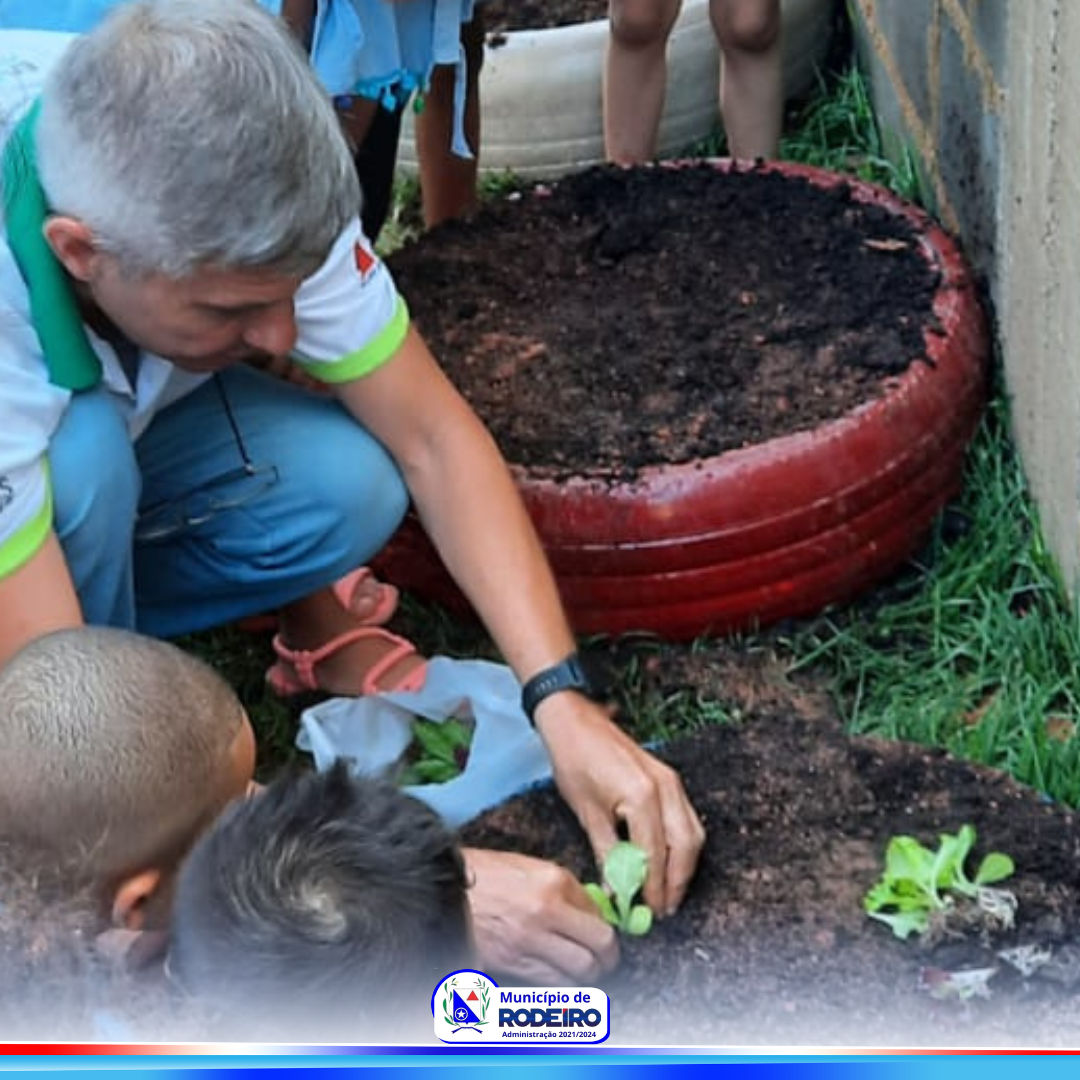 HORTA COM MATERIAIS RECICLÁVEIS