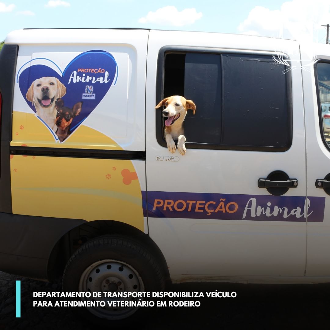 Departamento de transporte disponibiliza veículo para atendimento veterinário em Rodeiro
