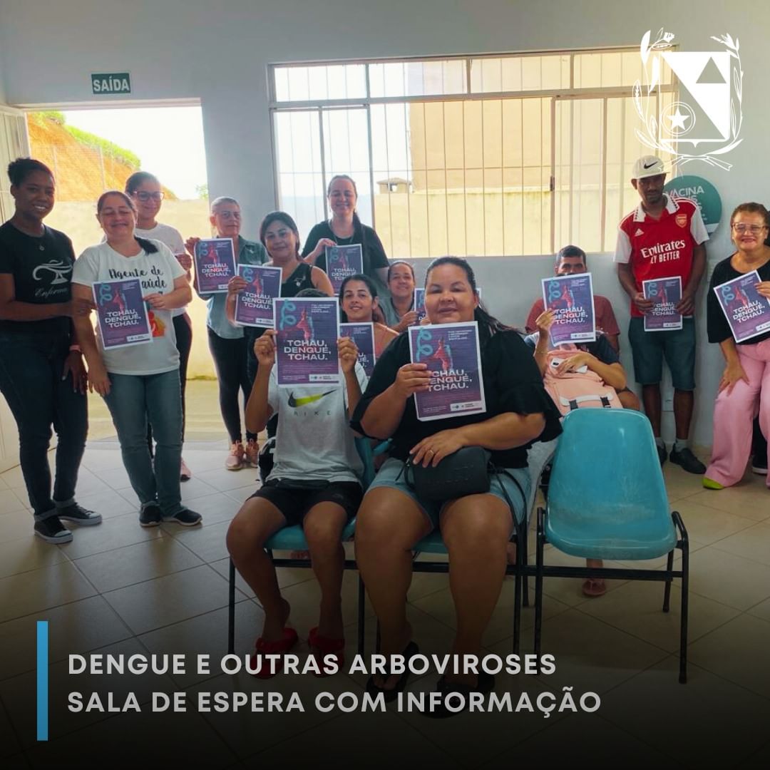 Dengue e outras arboviroses