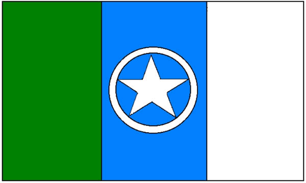 Bandeira de Rodeiro.jpg
