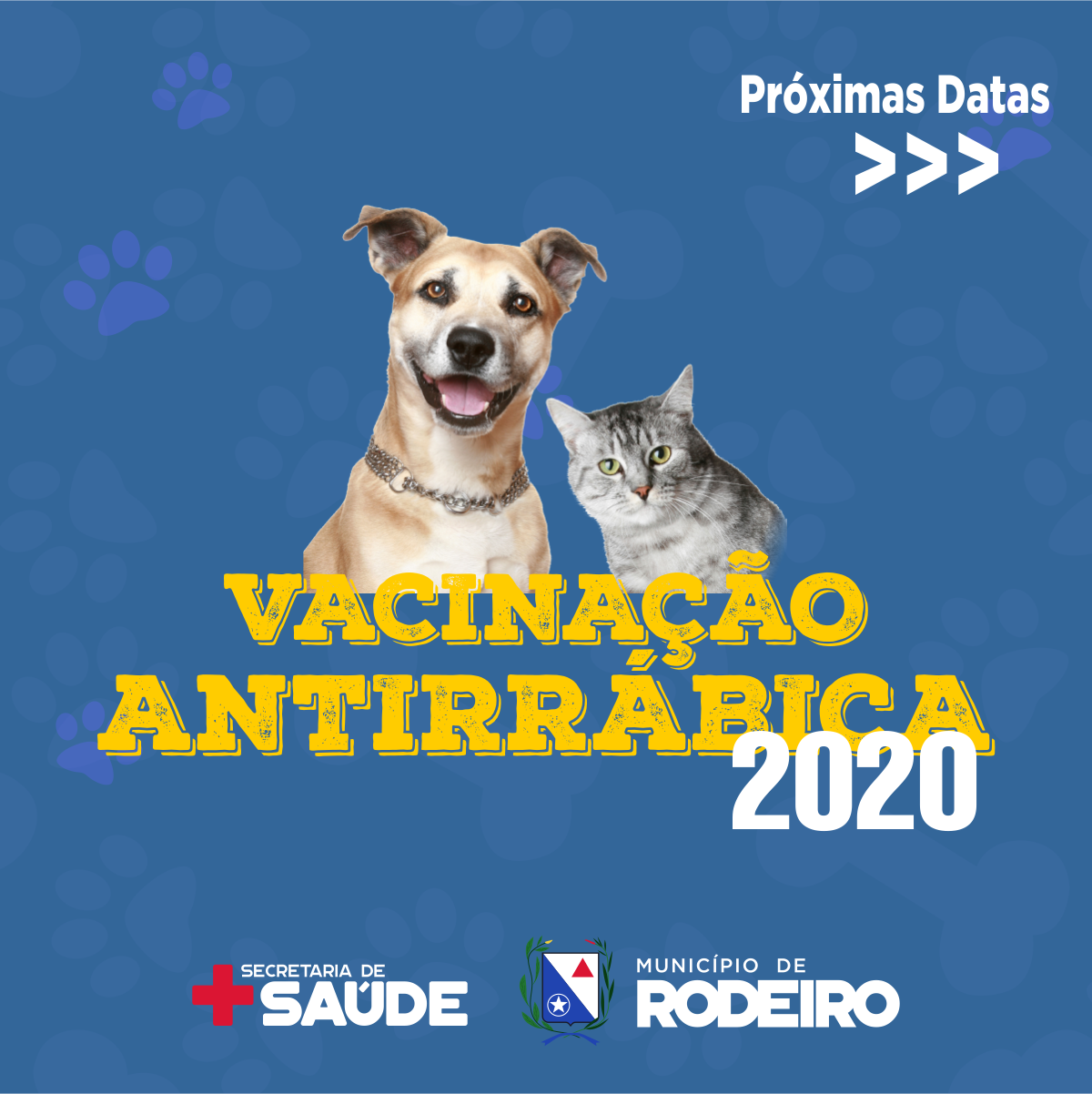 Prefeitura de Rodeiro inicia campanha de vacinação antirrábica